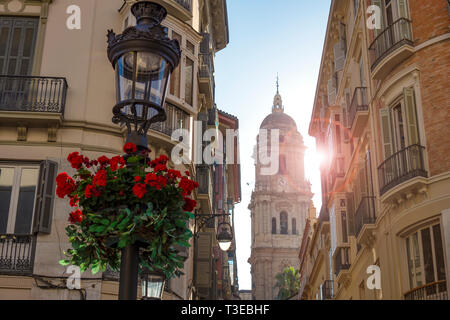 Clocher de l'Incarnation Catedral à l'issue d'une étroite rue de la vieille ville à Malaga en Espagne avec le soleil et une fleur de géranium Banque D'Images