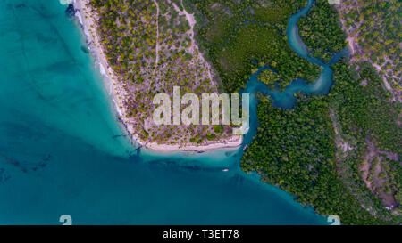 Mangroove swamp à Kanga beach, île de Mafia Banque D'Images