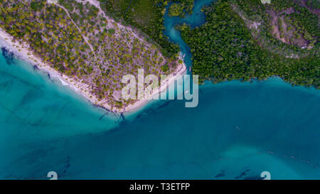 Mangroove swamp à Kanga beach, île de Mafia Banque D'Images