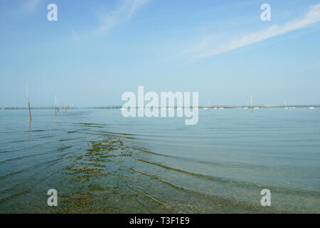 La mer d'Ariake à marée basse Banque D'Images