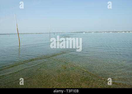 La mer d'Ariake à marée basse Banque D'Images