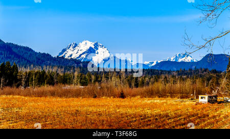 1699 Mount Reid sur la gauche et montez sur la droite juge Howay, vu de chemin Sylvester sur les bleuetières près de Mission, BC, Canada Banque D'Images