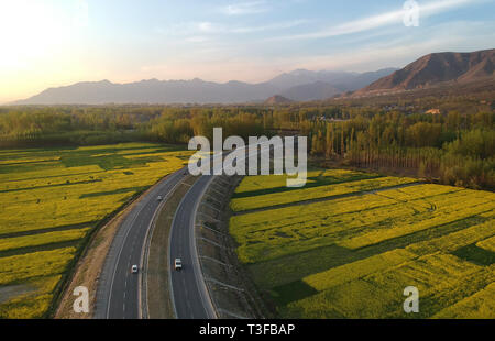 Srinagar. 8Th apr 2019. Photo aérienne prise le 8 avril 2019 montre les champs de moutarde fleurie le long d'une route dans le district de Pulwama Awantipora Village, à environ 25 km au sud de la ville de Srinagar, la capitale d'été du Cachemire. Credit : Javed Dar/Xinhua/Alamy Live News Banque D'Images