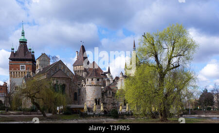 Château Vajdahunyad au printemps avec des arbres Banque D'Images