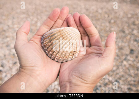 Mains de femmes tenant un coquillage sur la plage Banque D'Images