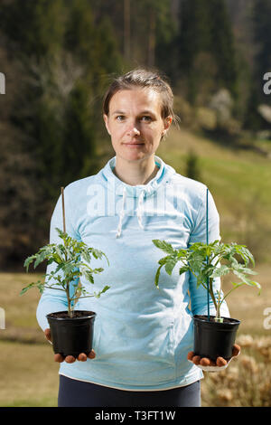 Femme tenant son jardinier semis de tomate prête à être plantée sur son jardin. Le jardinage biologique, l'alimentation saine, l'auto-approvisionnement et de tâches ménagères concept. Banque D'Images