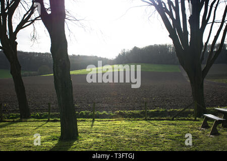 Les arbres et les collines Pays-bas Schin op Geul Banque D'Images