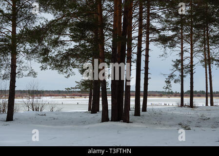 Moscow, Russie - 09 avril, 2019 : la transition des personnes sur la rivière dans le village Vychegda Sedkyrkesch spécialement équipés à l'aide de transition. Banque D'Images