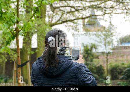 Une femme prend une photo sur son téléphone portable dans Holland Park, Kensington, London, W8, UK Banque D'Images