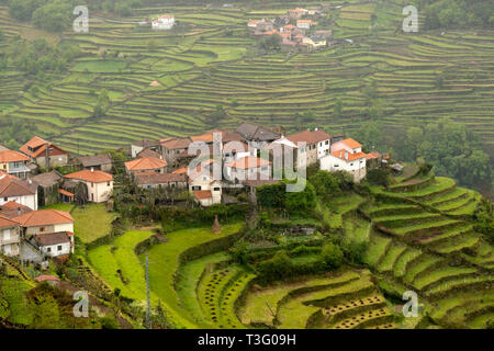 Vue aérienne de l'collines en terrasses de Sistelo, Serra da Peneda Gerês, Portugal, Europe, Banque D'Images
