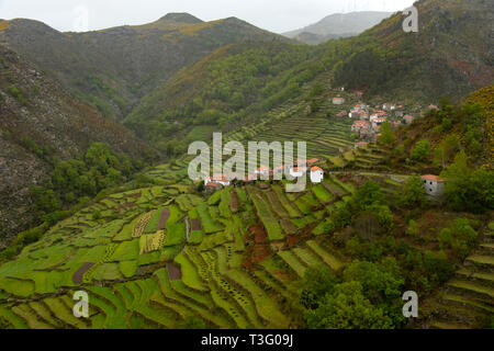 Vue aérienne de l'collines en terrasses de Sistelo, Serra da Peneda Gerês, Portugal, Europe, Banque D'Images