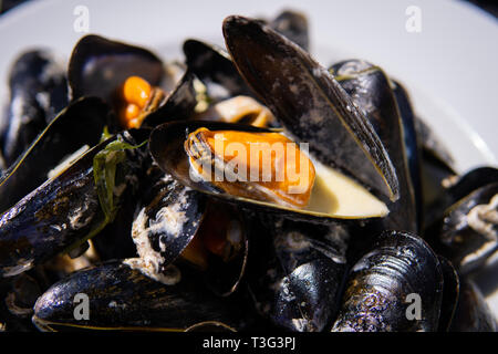 La truite de mer les poissons d'être détartré dans l'évier d'un restaurant prêt pour le four Banque D'Images