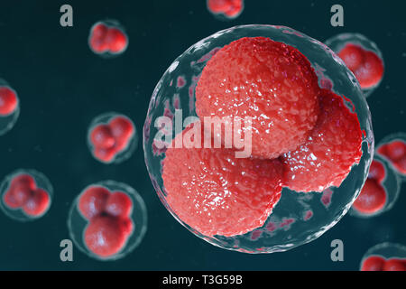 3D illustration ovule embryon. Les cellules de l'embryon avec red noyaux dans le centre. Les ovules humains ou animaux. Concept scientifique de la médecine. Livin Développement Banque D'Images