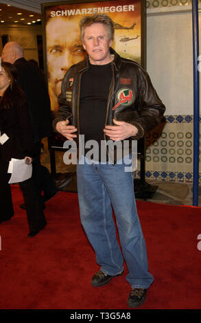 LOS ANGELES, CA. Février 04, 2002 : l'Acteur GARY BUSEY lors de la première mondiale, à Los Angeles, de dommages collatéraux. © Paul Smith/Featureflash Banque D'Images