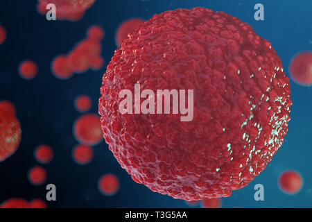 3D illustration ovule embryon. Les cellules de l'embryon avec noyau rouge dans le centre. Les ovules humains ou animaux. Concept scientifique de la médecine. Développement living Banque D'Images