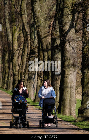 Les jeunes femmes poussant des landaus dans Avenham Park Preston Banque D'Images