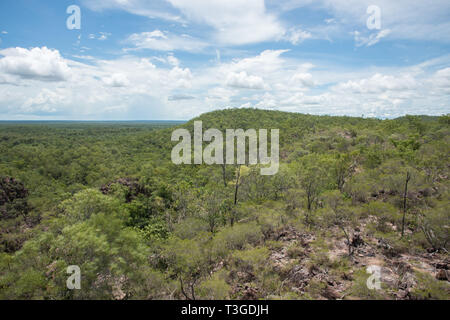 Vue panoramique sur la brousse luxuriante et rocher de grès naturel à Litchfield National Park dans le Territoire du Nord de l'Australie Banque D'Images