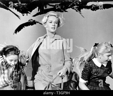 Les oiseaux Année : 1963 - USA Tippi Hedren Réalisateur : Alfred Hitchcock Banque D'Images