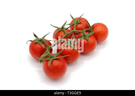 Cocktail rouge frais tomates sur vigne isolated on white Banque D'Images