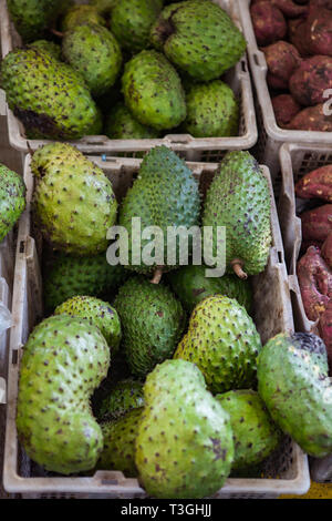 Corossol fruit sur le marché asiatique, Bornéo Banque D'Images