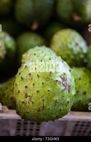 Corossol fruit sur le marché asiatique, Bornéo Banque D'Images