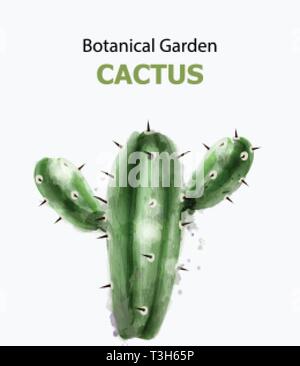 Aquarelle Cactus isolé. Jardin botanique Vector illustration Illustration de Vecteur
