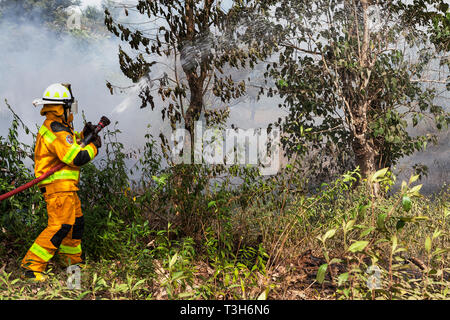 Les Sierra-Léonais dans la formation de l'équipe d'intervention dans la lutte contre l'incendie s'incendie se déclare entre forêt locale et communautaire en utilisant les flexibles des offres Banque D'Images
