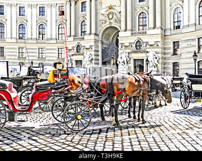 Fiacres à Vienne, Autriche ; en Fiaker Wien, Österreich Banque D'Images