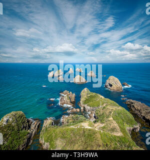Côte Rocheuse à Nugget Point en Nouvelle Zélande Banque D'Images