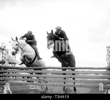 Chevaux saute au-dessus de rails dans la race ca. 1919 Banque D'Images