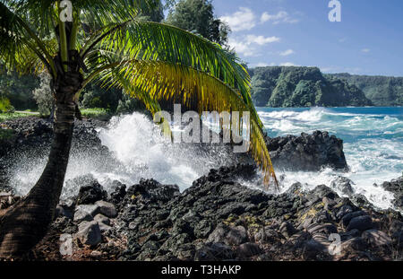 Rivage rocheux à Hawaii : Les accidents de surf contre les roches volcaniques sur la côte nord de Maui. Banque D'Images