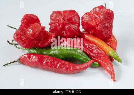 Groupe des piments de toutes sortes sur fond blanc. Le poivre. Chili Pepper. Banque D'Images