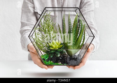 Femme tenant un mini jardin dans verre florarium succulentes Banque D'Images
