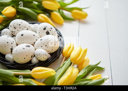 Belles tulipes jaune pointillée avec des œufs de poule et de caille au nid on white Banque D'Images