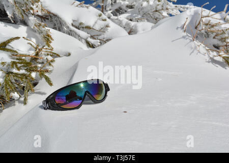 Lunettes de neige sous les branches de sapin recouvert de neige Banque D'Images