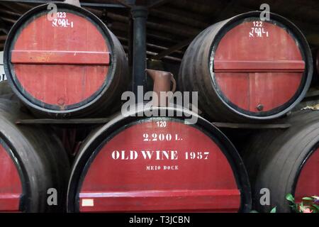 En barriques de vin de Madère, Madère, Portugal Banque D'Images