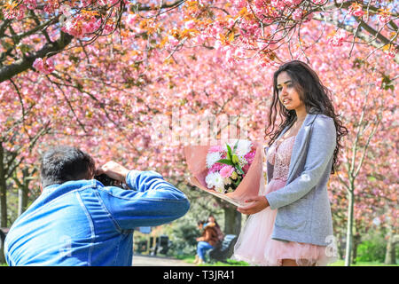 Greenwich, London, UK, 10 avril 2019. Un couple prendre leur cherry blossom photos complet avec robe rose et de fleurs, après avoir voyagé pour la deuxième fois en tant que temps de pluie signifiait leur photos n'ont pas aussi bien hier. Les gens admirer et prendre des clichés de la fleur de cerisier rose qui est maintenant en pleine floraison. Les visiteurs voyagent souvent surtout pour voir le bien connue "Cherry Blossom Alley' dans le parc de Greenwich, Londres. Credit : Imageplotter/Alamy Live News Banque D'Images