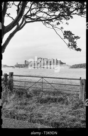 Château de Bamburgh, Northumberland, c1955-c1980. Organisateur : Ursula Clark. Banque D'Images