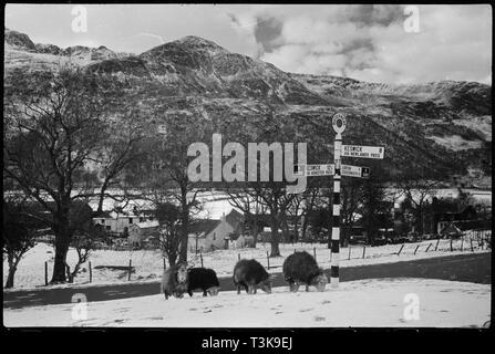 Buttermere, Cumbria, c1955-c1980. Organisateur : Ursula Clark. Banque D'Images