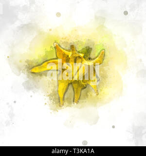 Concept de la Journée de l'arbre de l'image amélioré numériquement une tomate jaune fleurs sur une tomate bush Banque D'Images
