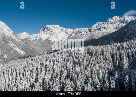 Vue panoramique au-dessus de la forêt, paysage d'hiver. Alpes italiennes Banque D'Images