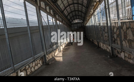 Une femme palestinienne promenades à travers 300 Checkpoint, Bethléem, Cisjordanie, Palestine, 11/02/19 Banque D'Images