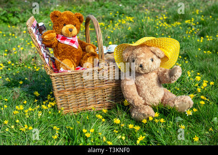 Teddy Bear's picnic avec panier en osier traditionnel. Deux ours dans une prairie d'été avec des renoncules jaunes. Un ours portant un chapeau de soleil. L'espace pour copier Banque D'Images