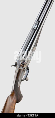 Armes longues, armes de chasse modernes, fusil de chasse, Additional-Rights Clearance-Info-Not-Available- Banque D'Images