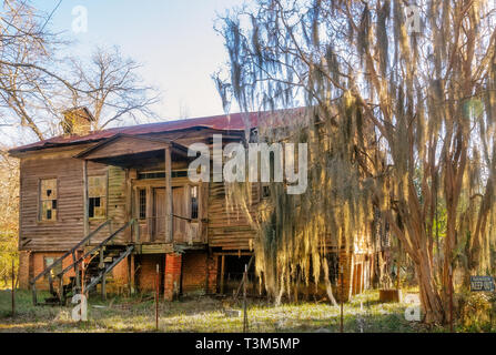 La demeure délabrée de la maison Arthur Fambro sont représentés, 7 février 2015, à l'ancienne Cahawba Parc archéologique d'Orville, Alabama. Banque D'Images