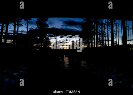 Okefenokee Swamp avec vestige de coucher du soleil après l'obscurité ; voile de lumière dans la distance. Ciel bleu profond, silhouette de forêt, fading lumière orange. Banque D'Images