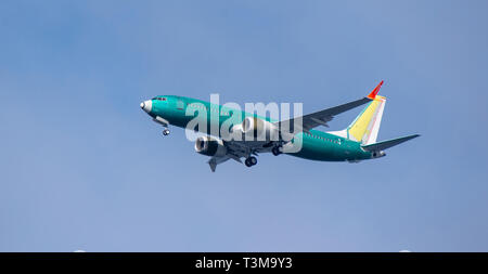 Seattle, Washington, USA - 6 avril 2019 un Boeing 737 MAX 8 avion commence à baisser son train d'atterrissage en préparation de l'atterrissage à Boeing Field Banque D'Images