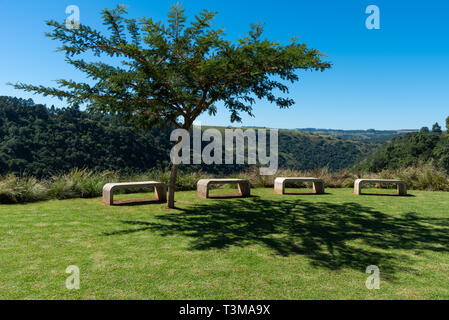 Une rangée de bancs en béton sous un jeune arbre épineux acacia surplombant la vallée de la rivière Umngeni à Howick, Midlands du Natal, Afrique du Sud. Banque D'Images