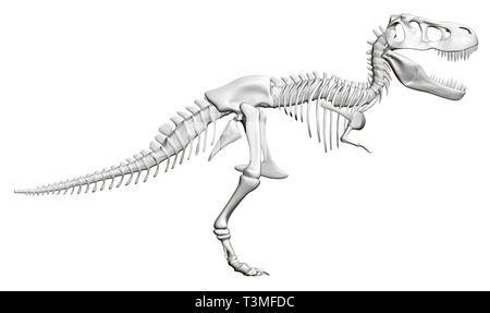 Squelette de dinosaure. Vue de côté. 3D. Vector illustration Illustration de Vecteur