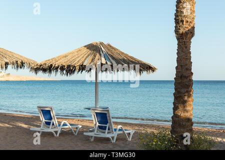 Une chaise longue sous un parapluie. plage de sable avec des palmiers avec une pergola métallique et de chaises longues en plastique. Banque D'Images